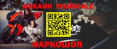 индика Дубна