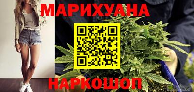 индика Дубна