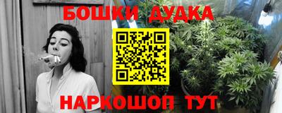 индика Дубна