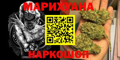 индика Дубна