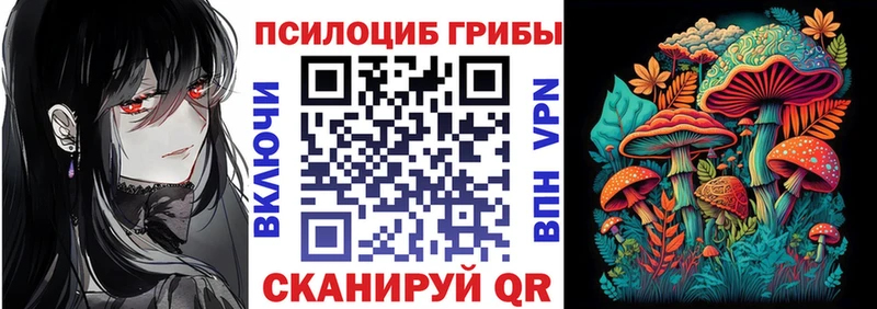 купить закладку  Коряжма  Галлюциногенные грибы GOLDEN TEACHER 