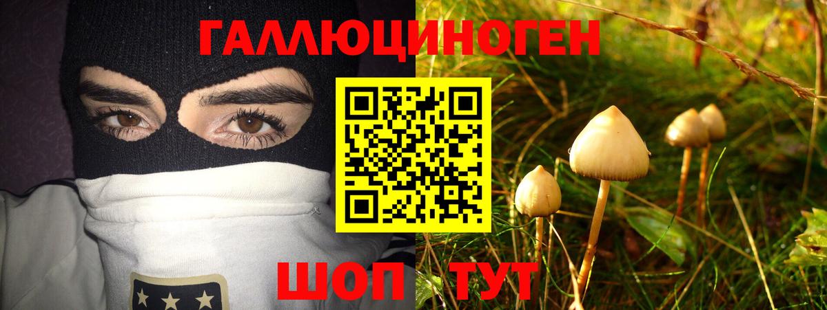 Псилоцибиновые грибы Psilocybe  Вход с VPN  Псилоцибиновые грибы Psilocybe  Коряжма 
